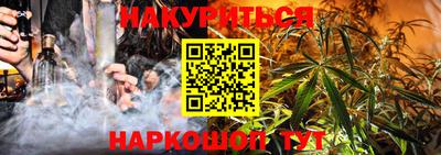 шишки Будённовск