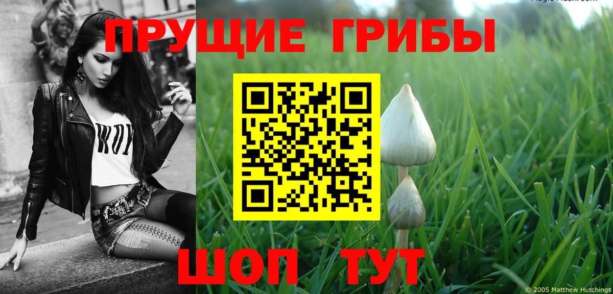Псилоцибиновые грибы мицелий  Галлюциногенные грибы Psilocybe  Вход с VPN  Лосино-Петровский 